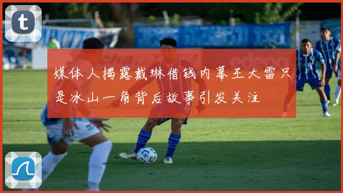 媒体人揭露戴琳借钱内幕王大雷只是冰山一角背后故事引发关注