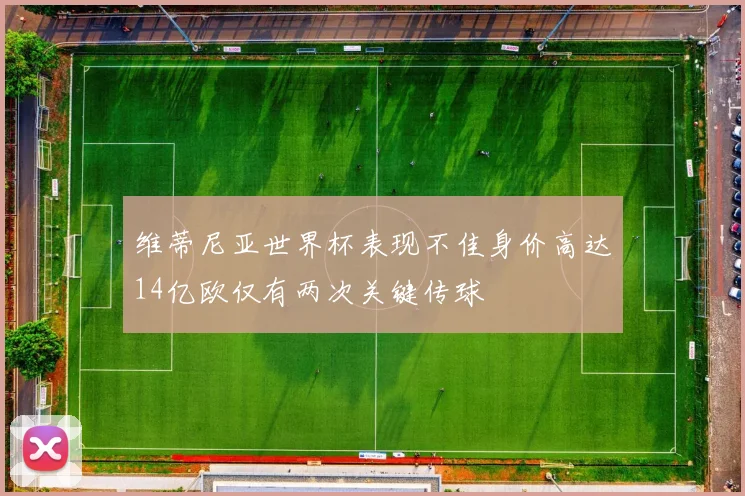 维蒂尼亚世界杯表现不佳身价高达14亿欧仅有两次关键传球
